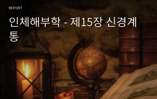 인체해부학 - 제15장 신경계통