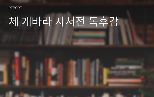 체 게바라 자서전 독후감