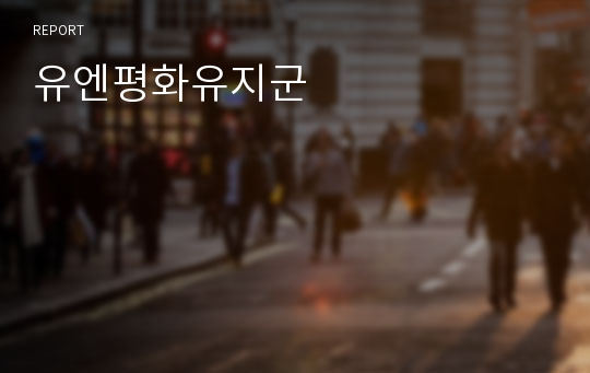 유엔평화유지군