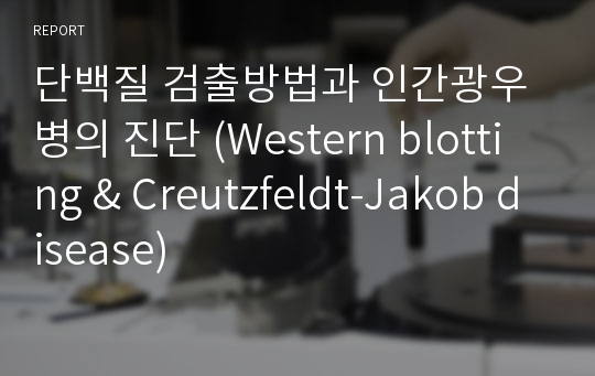 단백질 검출방법과 인간광우병의 진단 (Western blotting &amp; Creutzfeldt-Jakob disease)