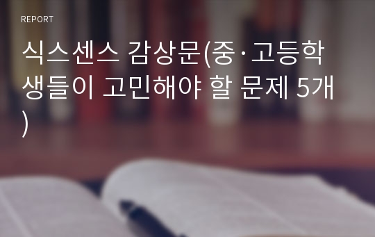 식스센스 감상문(중·고등학생들이 고민해야 할 문제 5개)