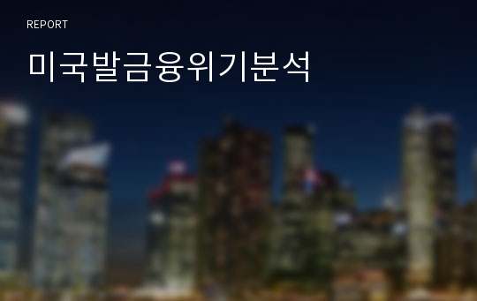 미국발금융위기분석