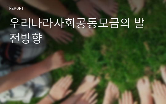 우리나라사회공동모금의 발전방향