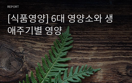 [식품영양] 6대 영양소와 생애주기별 영양