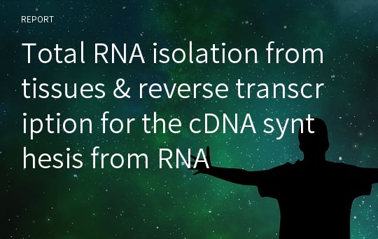 Total RNA isolation from tissues &amp; reverse transcription for the cDNA synthesis from RNA