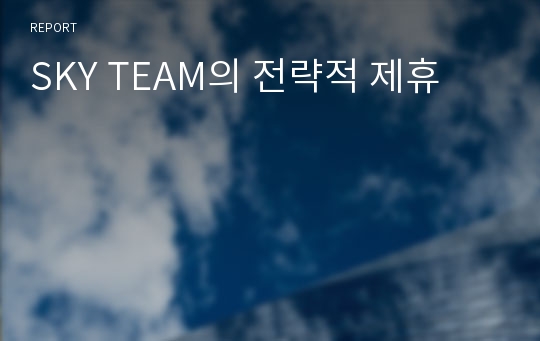 SKY TEAM의 전략적 제휴