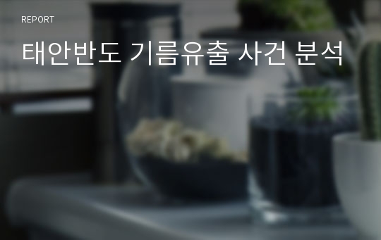 태안반도 기름유출 사건 분석