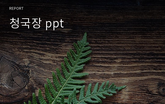 청국장 ppt