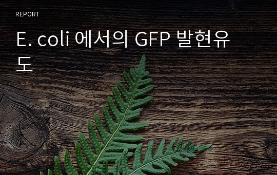 E. coli 에서의 GFP 발현유도