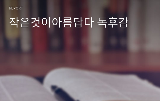 작은것이아름답다 독후감