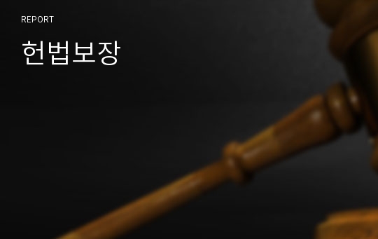 헌법보장