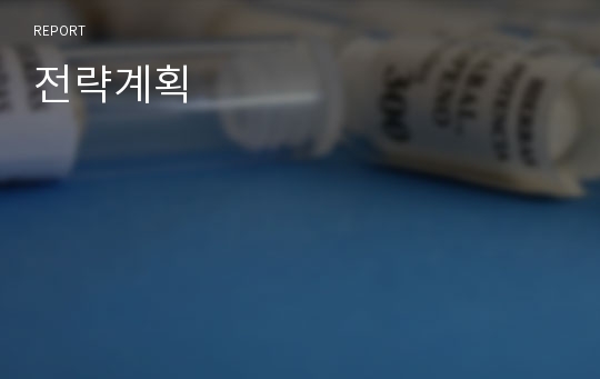 전략계획