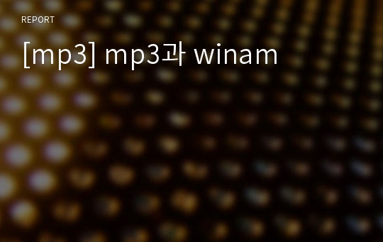 [mp3] mp3과 winam