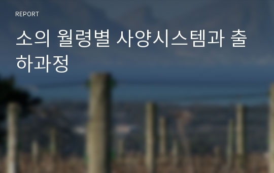 소의 월령별 사양시스템과 출하과정