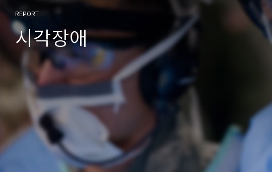 시각장애