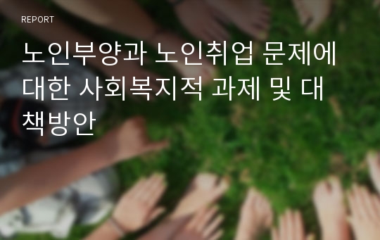 노인부양과 노인취업 문제에 대한 사회복지적 과제 및 대책방안