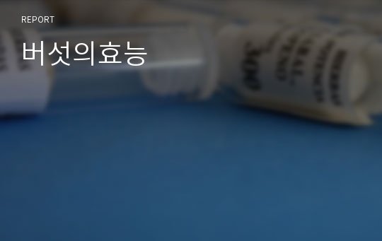 버섯의효능