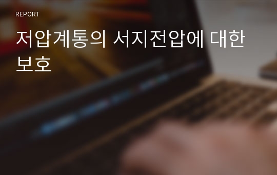 저압계통의 서지전압에 대한 보호