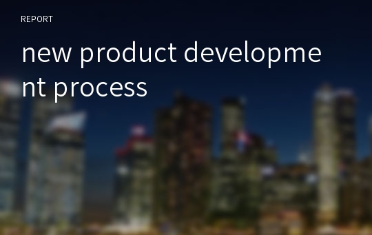 new product development process