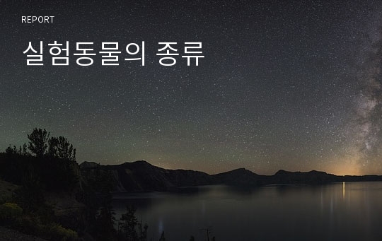 실험동물의 종류