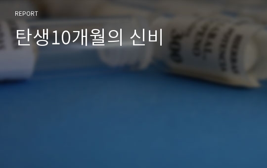 탄생10개월의 신비