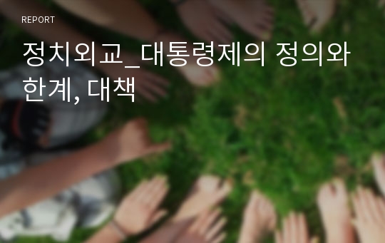 정치외교_대통령제의 정의와 한계, 대책