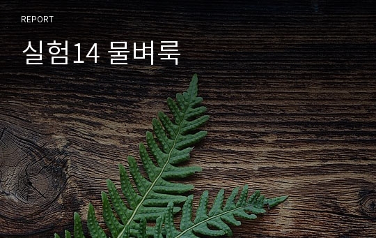 실험14 물벼룩