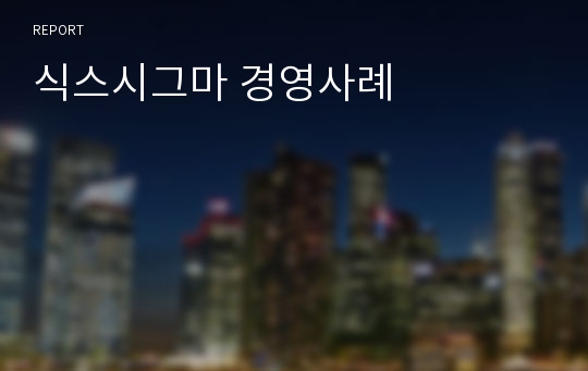 식스시그마 경영사례