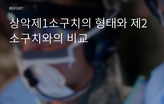 상악제1소구치의 형태와 제2소구치와의 비교