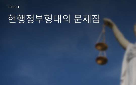 현행정부형태의 문제점