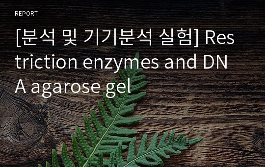 [분석 및 기기분석 실험] Restriction enzymes and DNA agarose gel