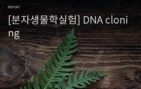 [분자생물학실험] DNA cloning