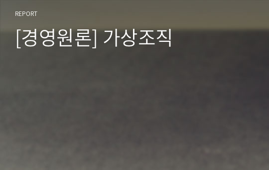 [경영원론] 가상조직