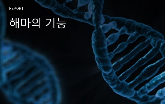 해마의 기능