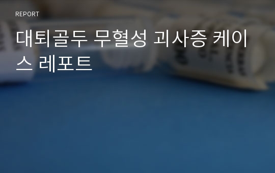 대퇴골두 무혈성 괴사증 케이스 레포트