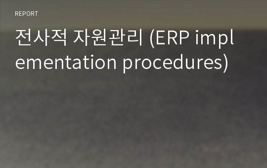 전사적 자원관리 (ERP implementation procedures)