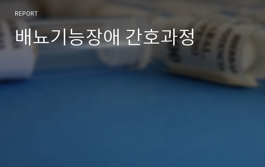 배뇨기능장애 간호과정