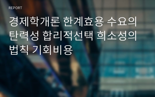 경제학개론 한계효용 수요의탄력성 합리적선택 희소성의법칙 기회비용