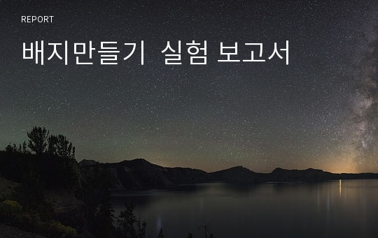 배지만들기  실험 보고서