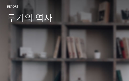 무기의 역사