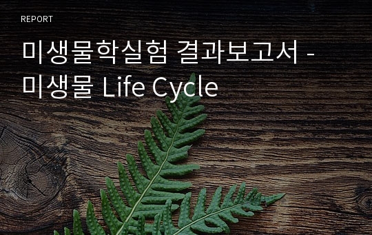 미생물학실험 결과보고서 - 미생물 Life Cycle