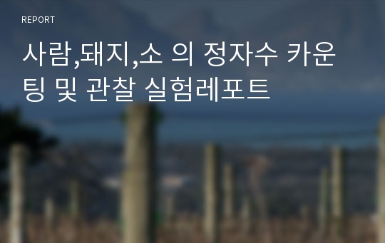 사람,돼지,소 의 정자수 카운팅 및 관찰 실험레포트