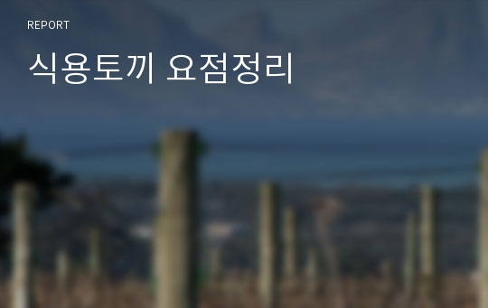 식용토끼 요점정리