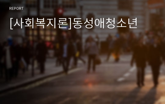 [사회복지론]동성애청소년