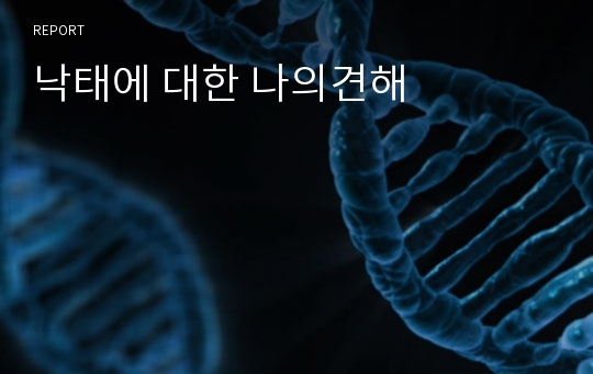 낙태에 대한 나의견해