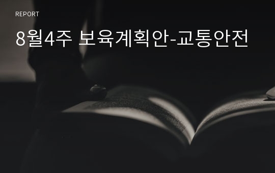 8월4주 보육계획안-교통안전