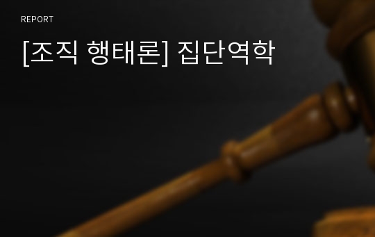 [조직 행태론] 집단역학