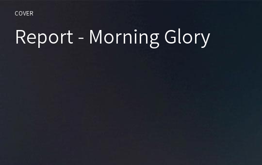 Report - Morning Glory