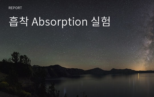 흡착 Absorption 실험