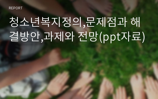 청소년복지정의,문제점과 해결방안,과제와 전망(ppt자료)